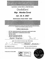Skálův institut Praha certifikát  